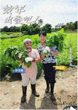 复盘标签与短评的手账页面